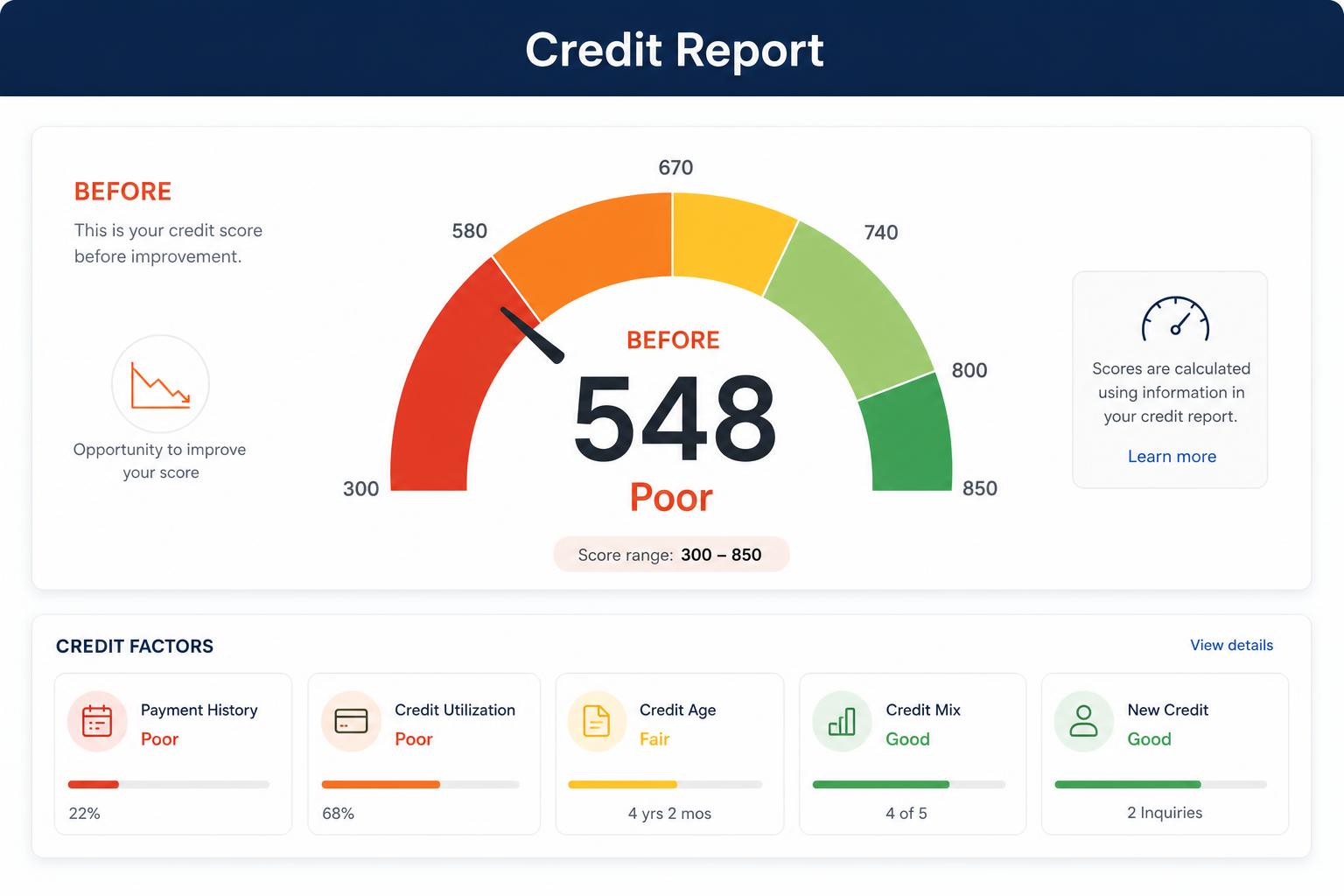 Daniela R. credit report — before